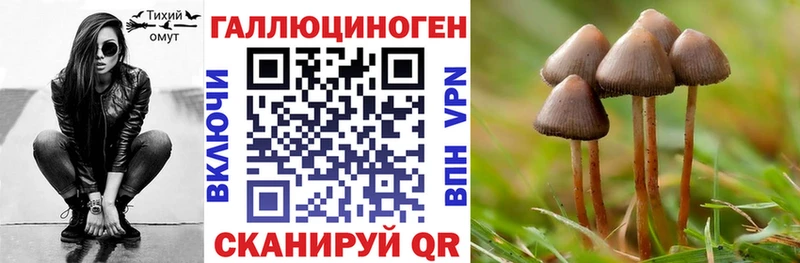 цена наркотик  Шарья  Галлюциногенные грибы Psilocybine cubensis 